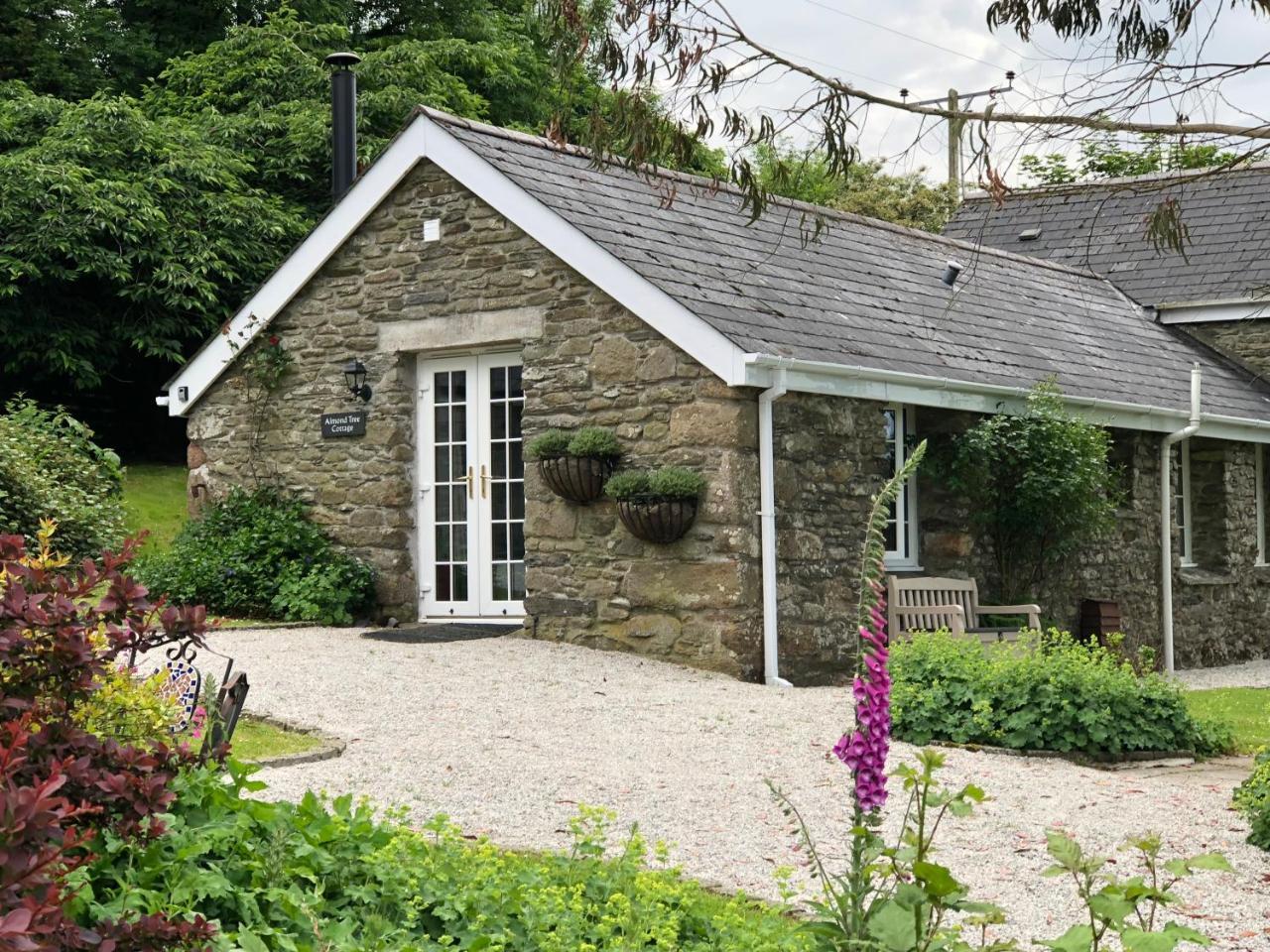 Almond Tree Holiday home